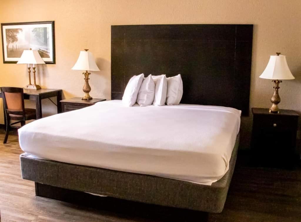 Econo Lodge Vidalia Ngoại thất bức ảnh